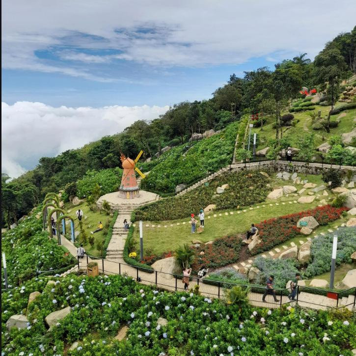 DỰ ÁN CUNG CẤP CÂY TRỒNG CHO KHU DU LỊCH NÚI BÀ ĐEN – TÂY NINH